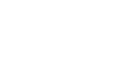Logo Theo Verbey in white